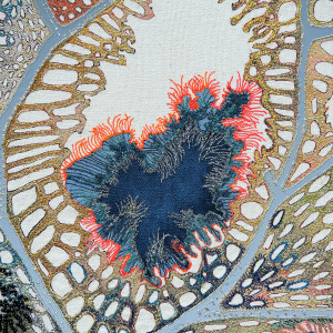 Textile Artist Louise Gardiner, Coral, Free Machine Embroidery, Painting and Applique