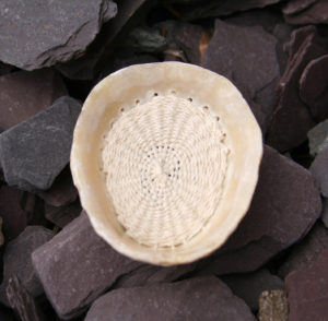alice_fox_stitched_limpet