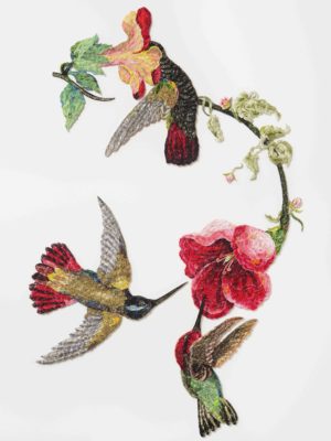 Louise Saxton textiles Sky Jewels2016afterjohnjamesaudubon1833_lr