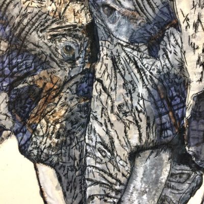 Janine Heschl, Elephants