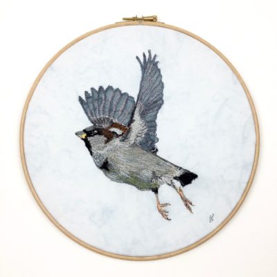 Janine Heschl Sparrow in fligth