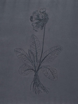 Victoria Martini, textiles, Schlueselblume_300_1